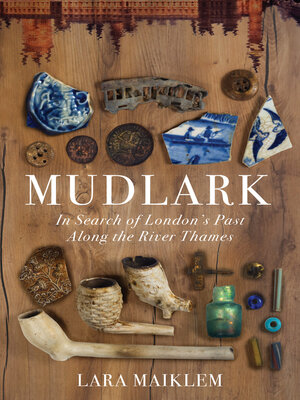 cover image of Mudlark